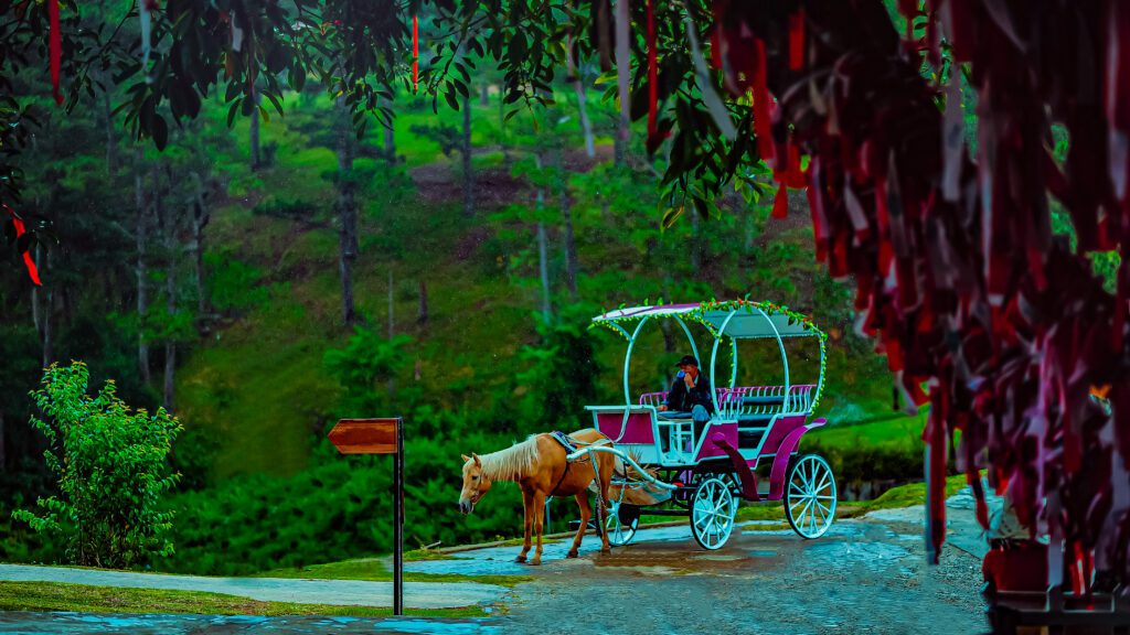 Horse-drawn chariot on country road, retouched with Photoshop dodge & burn, gradient maps, and tonal adjustments for cinematic realism and heritage texture.